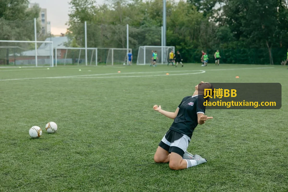 贝博BB信任标识