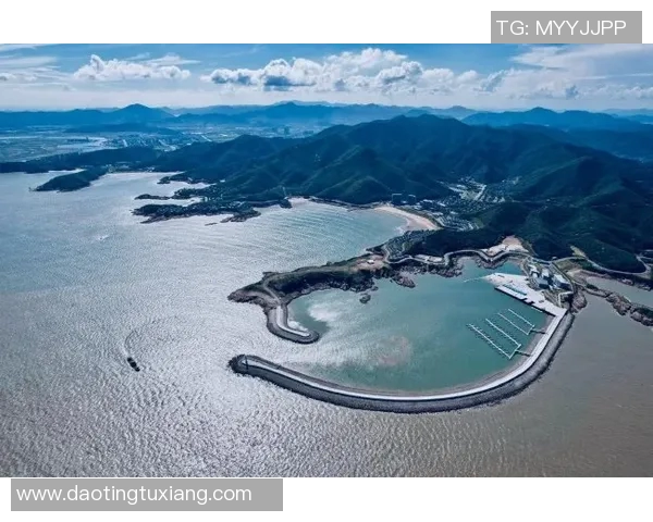 足球新浪聚焦全球赛事动态深度解析球员表现与战术变化 足球新浪聚焦全球赛事动态深度解析球员表现与战术变化