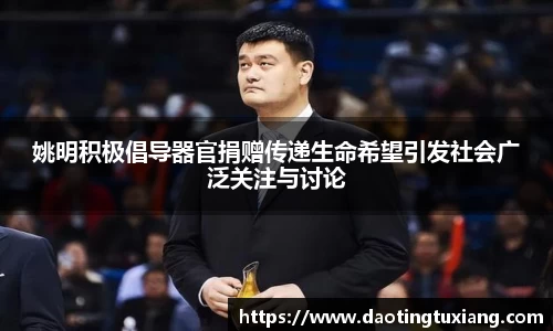 中欧体育官网