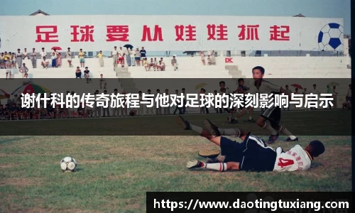 中欧体育