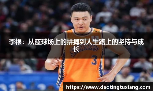 中欧体育
