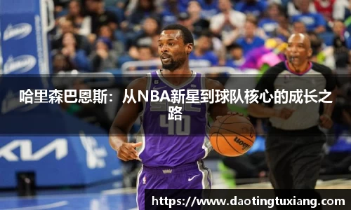 中欧体育官网