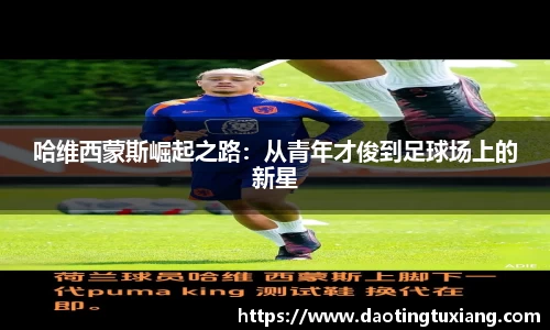 中欧体育官网